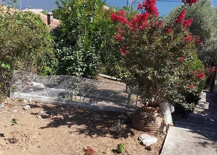 View ゲストハウス 3*