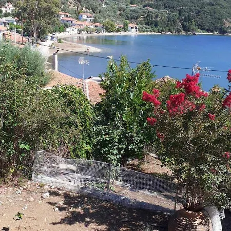 View 3*